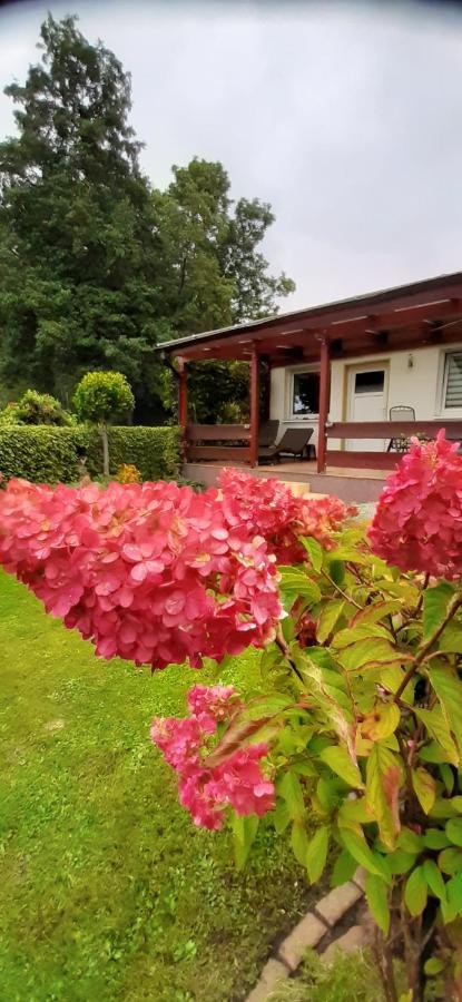Bungalow Idylle Am See ノイルピーン エクステリア 写真