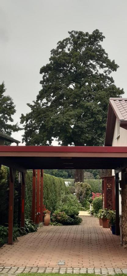 Bungalow Idylle Am See ノイルピーン エクステリア 写真