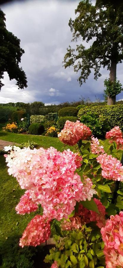 Bungalow Idylle Am See ノイルピーン エクステリア 写真