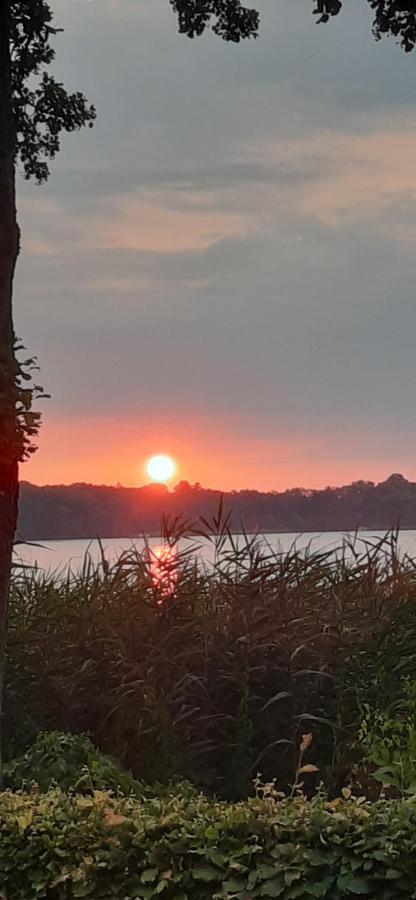 Bungalow Idylle Am See ノイルピーン エクステリア 写真